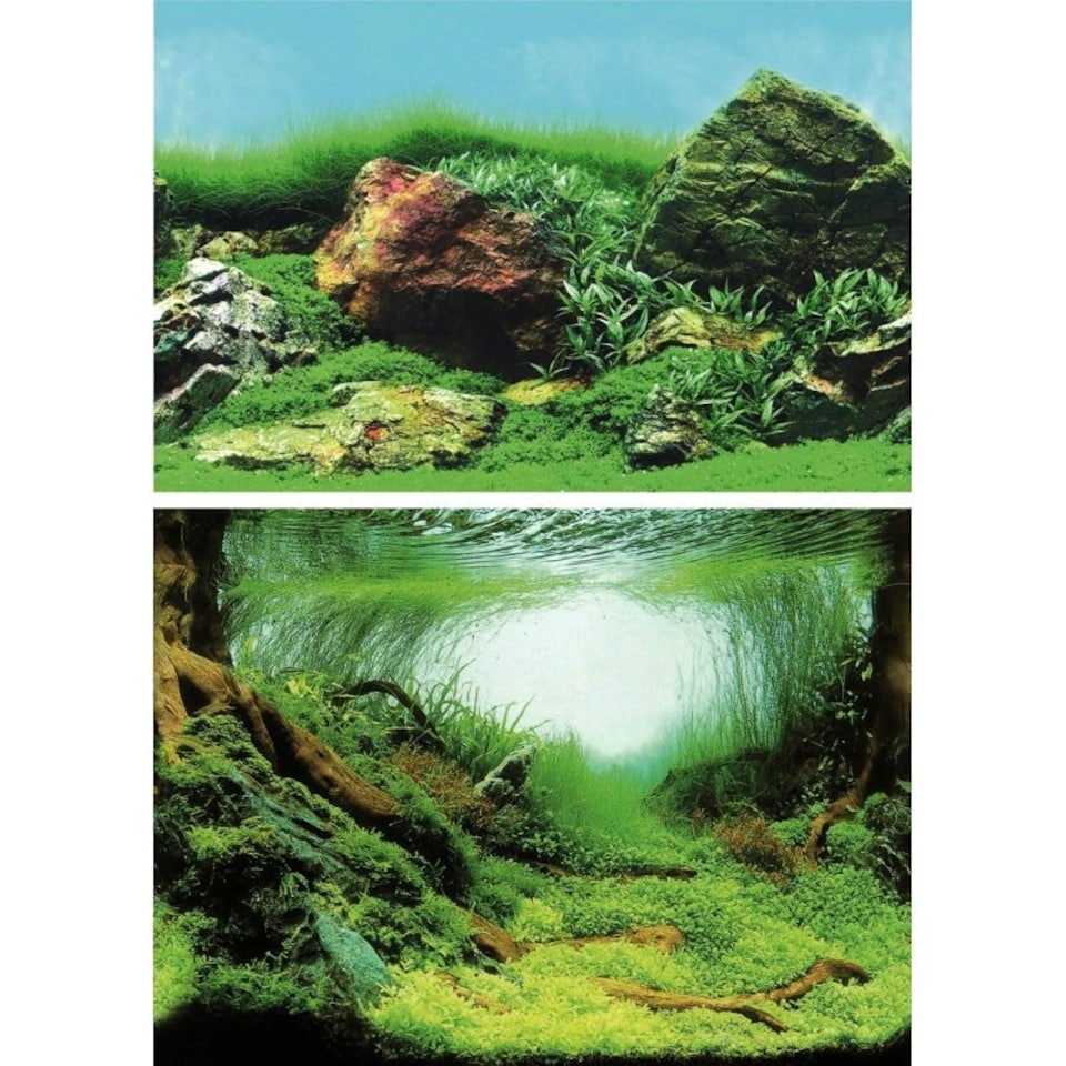 image 1 of Superfish Deco Poster C (Mossy Aquascape) N/A | 100cm x 49cm