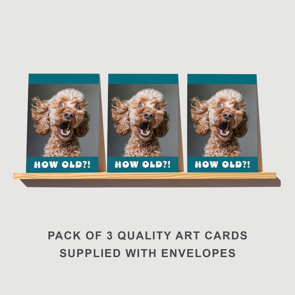image 1 of Funny Cockapoo Birthday Card How Old Joke Set of 3 Greeting Cards Blank Inside