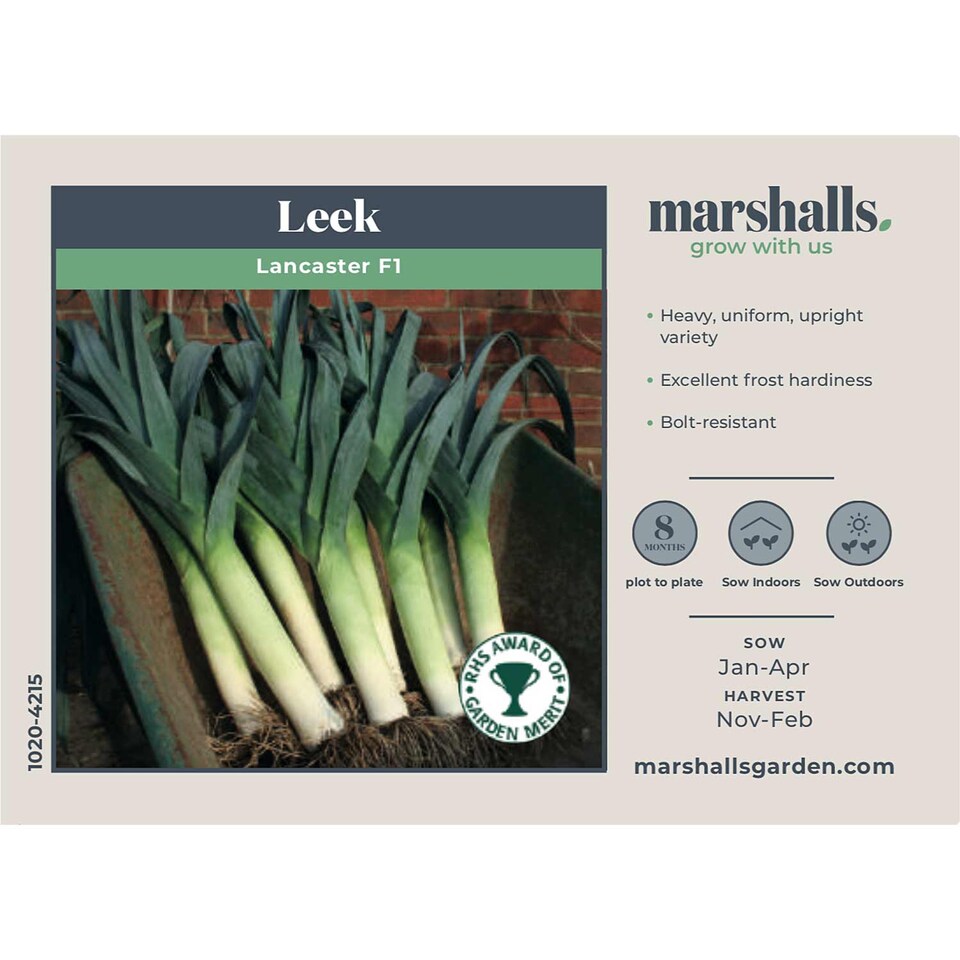 image 1 of Marshalls Garden Leek Seeds 'Lancaster' F1, 50 Seeds