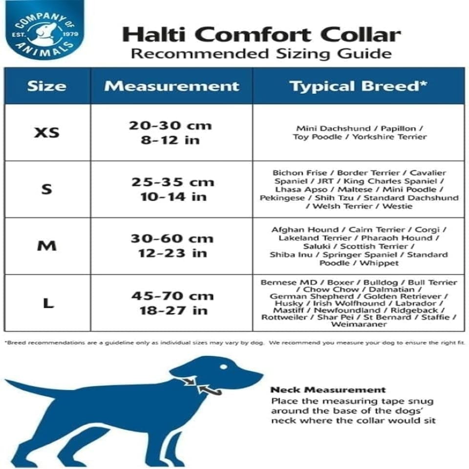 image 1 of HALTI Collar - Size Small - Purple - For Small - Medium & Large Dogs