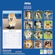 image 2 of Akita 2026 Calendar | Square Wall Calendar | Dog Breed Gift | Plastic Free Packaging | by Avonside Publishing