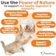 image 3 of Probiotics & Hairball Chews