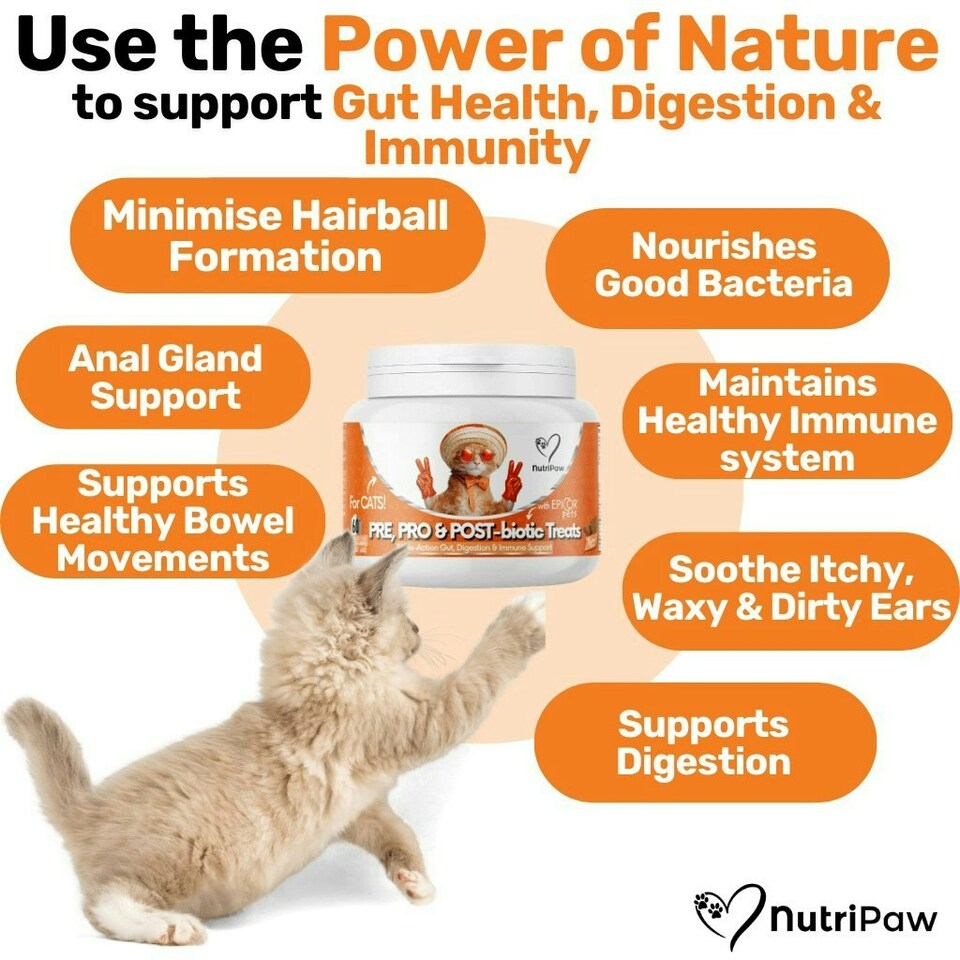 image 1 of Probiotics & Hairball Chews