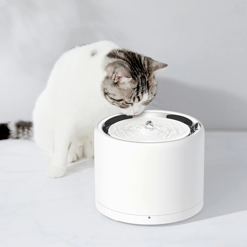 image 1 of Eversweet 3 PRO-Wireless