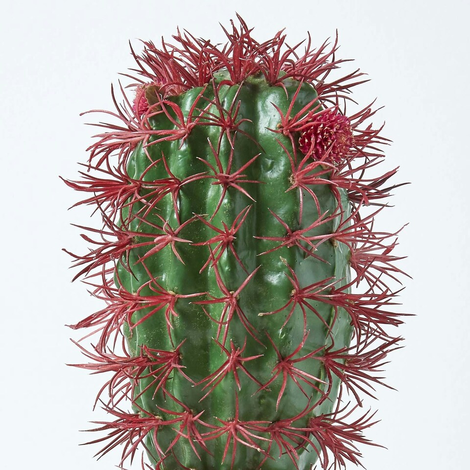 image 1 of Homescapes Denmoza Artificial Cactus with Flowers in Patterned Pot, 25 cm Tall
