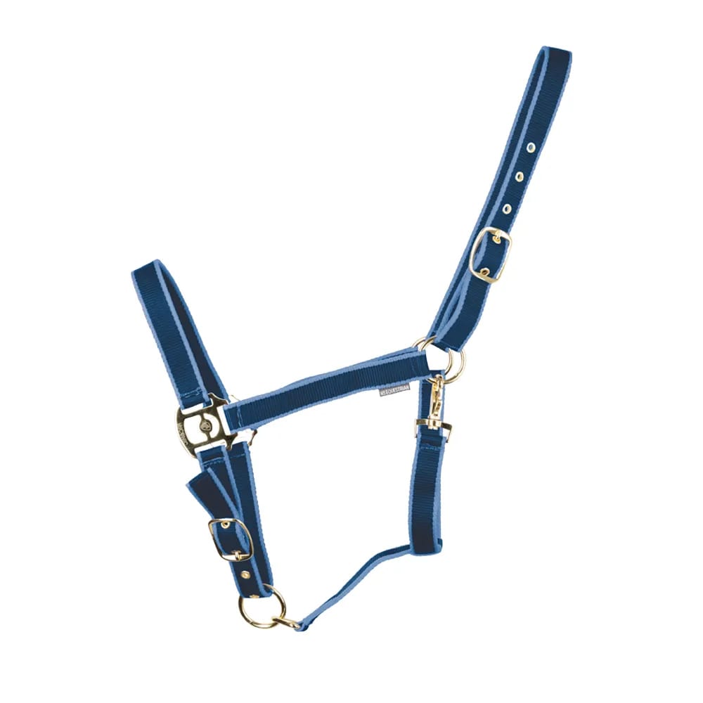 RIDDER Tappeto per Doccia Helgoland 54x54 cm Bianco e Blu 445029