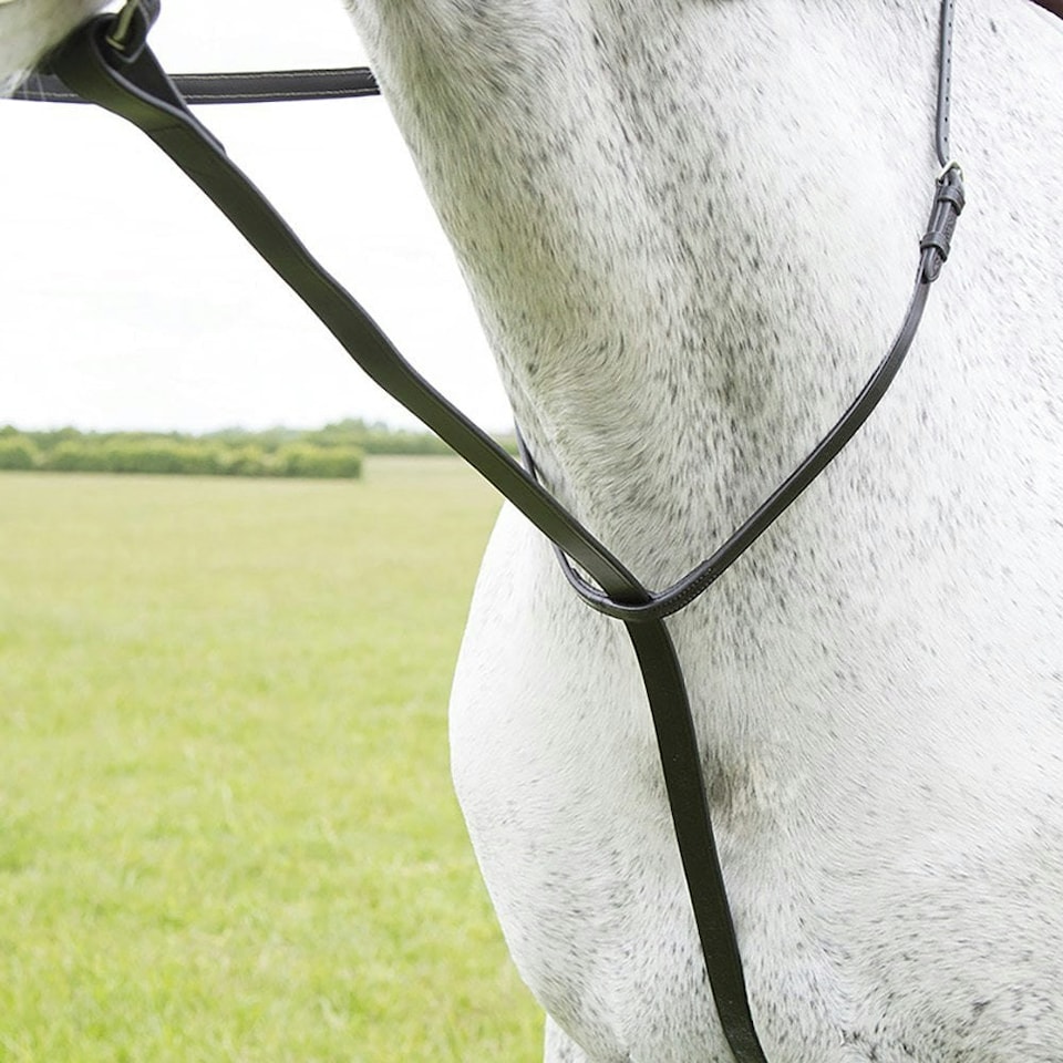 image 1 of Blenheim Leather Horse Standing Martingale - Black - Pony