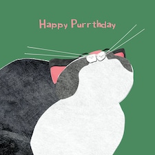 Happy Purrthday - Cat Art Card By Paul Delaney