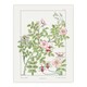 image 1 of Wild Rose Flower Vintage Floral Wall Art Print Verneuil 18x24"
