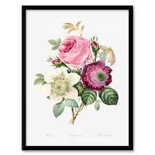 Pierre Joseph Redoute Framed Wall Art Anemone and Cabbage Rose Flower Home Décor