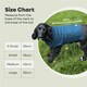 image 10 of HugglePets Legacy Cable Knit Dog Jumper Red | XS