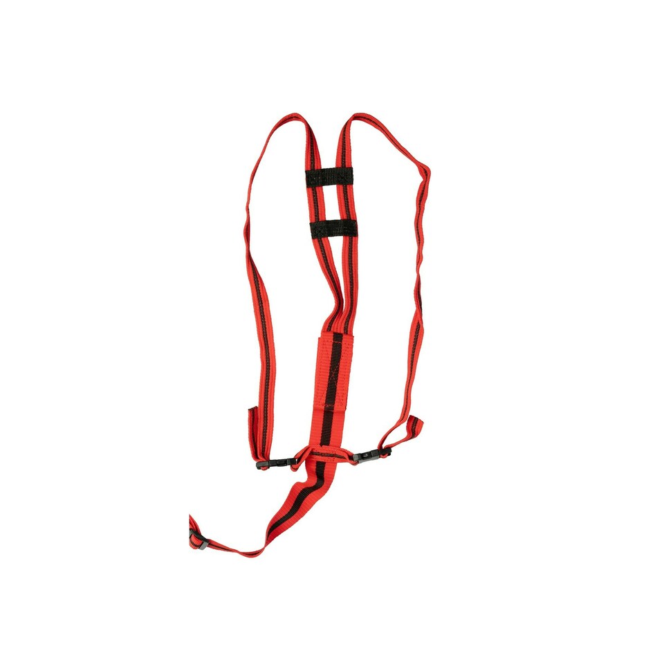 image 1 of Agrimark Striped Prolapse Sheep Harness - Red/Black - One Size