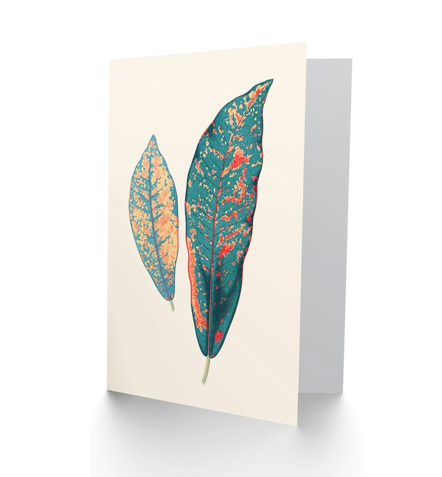 image 1 of Primary Coloured Exotic Leaves Just To Say Blank Art Card