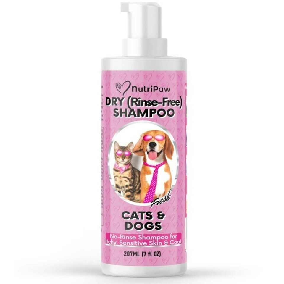 image 1 of No-Rinse Skin & Coat Foam