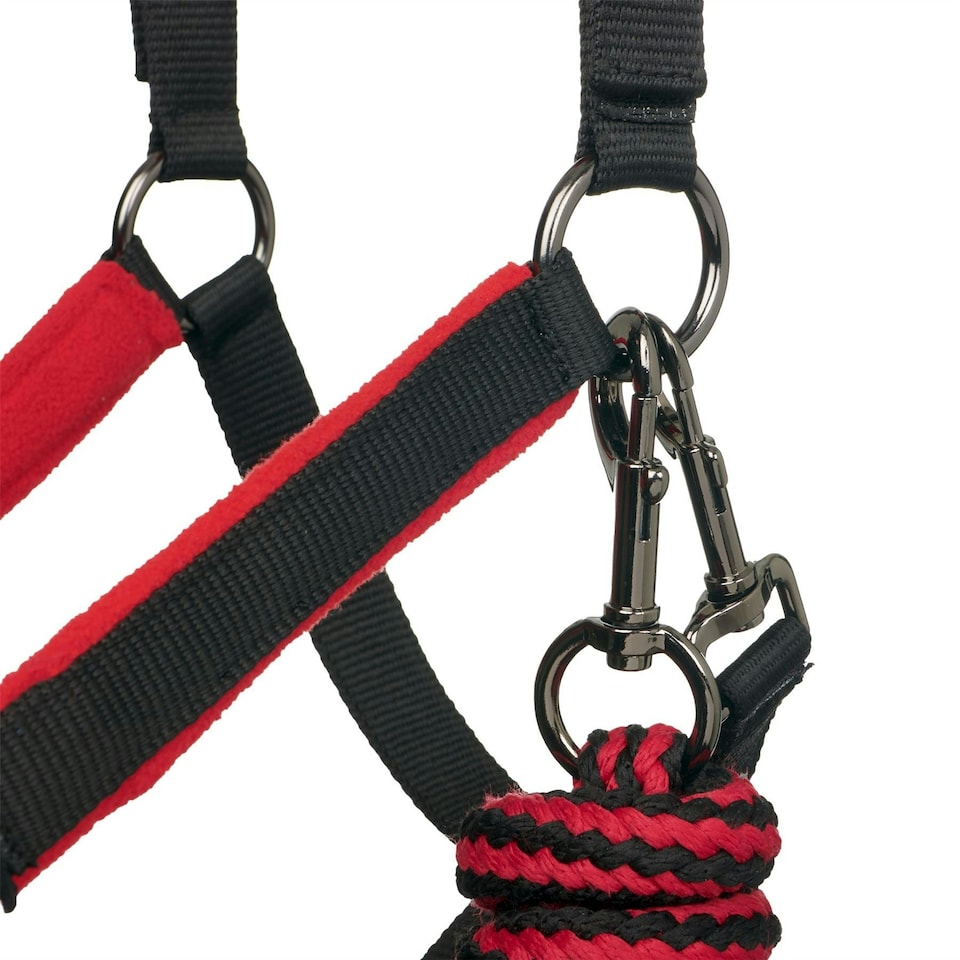 image 1 of LeMieux Vogue Headcollar & Leadrope Red | Full