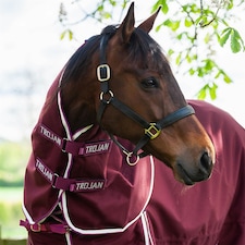 Gallop Equestrian Trojan Xtra Lightweight Neck Cover Clear | Size: Small
Colour: Burgundy/Purple