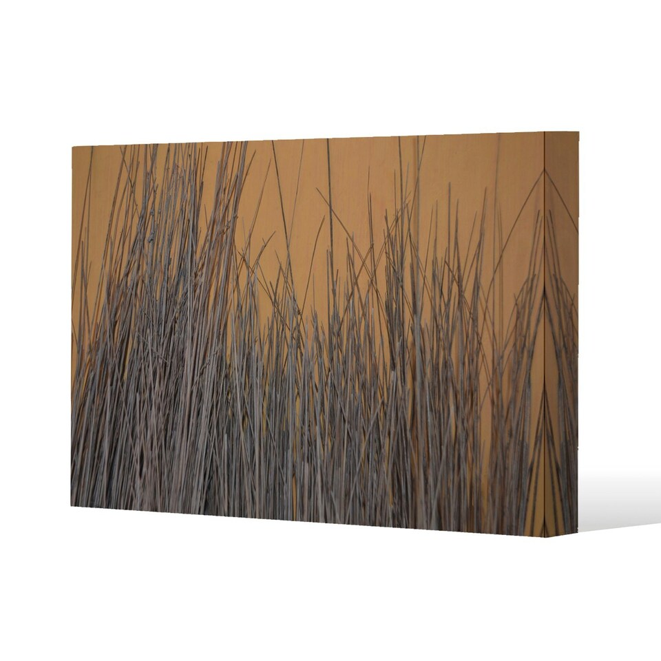 image 1 of broom stick on the wall (Canvas Print) 46 x 31 x 4cm