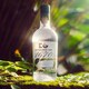 image 3 of Edinburgh 1670 Gin