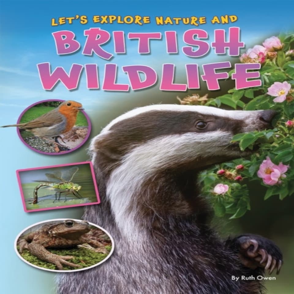 Let's Explore Nature And British Wildlife