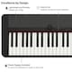 image 4 of Casio CT-S1 Black
