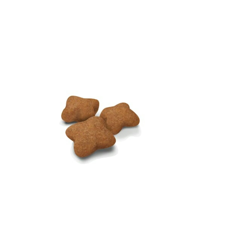 image 1 of Royal Canin Cat Kitten Sterilised 3.5KG