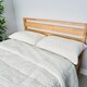 image 4 of BHS Teddy Bear Pillow, Cream Cream | Single