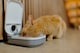 image 9 of Cat Mate One-meal Automatic Dry/Wet Food Pet Feeder (C100) | White