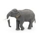 image 5 of PAPO Wild Animal Kingdom Asian Elephant Toy Figure
