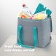 image 2 of LIVIVO 10L Cool Bag with BPA Free Ice Block Grey and Teal