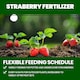 image 6 of Vitax Organic Strawberry Fertiliser 1L Liquid for Rich Flavor Bountiful Strawberries and Prolific Yields