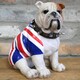 image 2 of Sitting British English Bulldog In Union Jack Coat Figurine