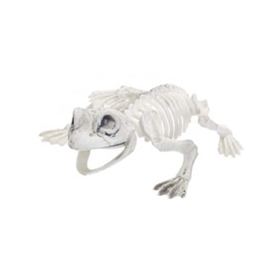 Frog Skeleton Halloween Plastic Prop Decoration 18cm