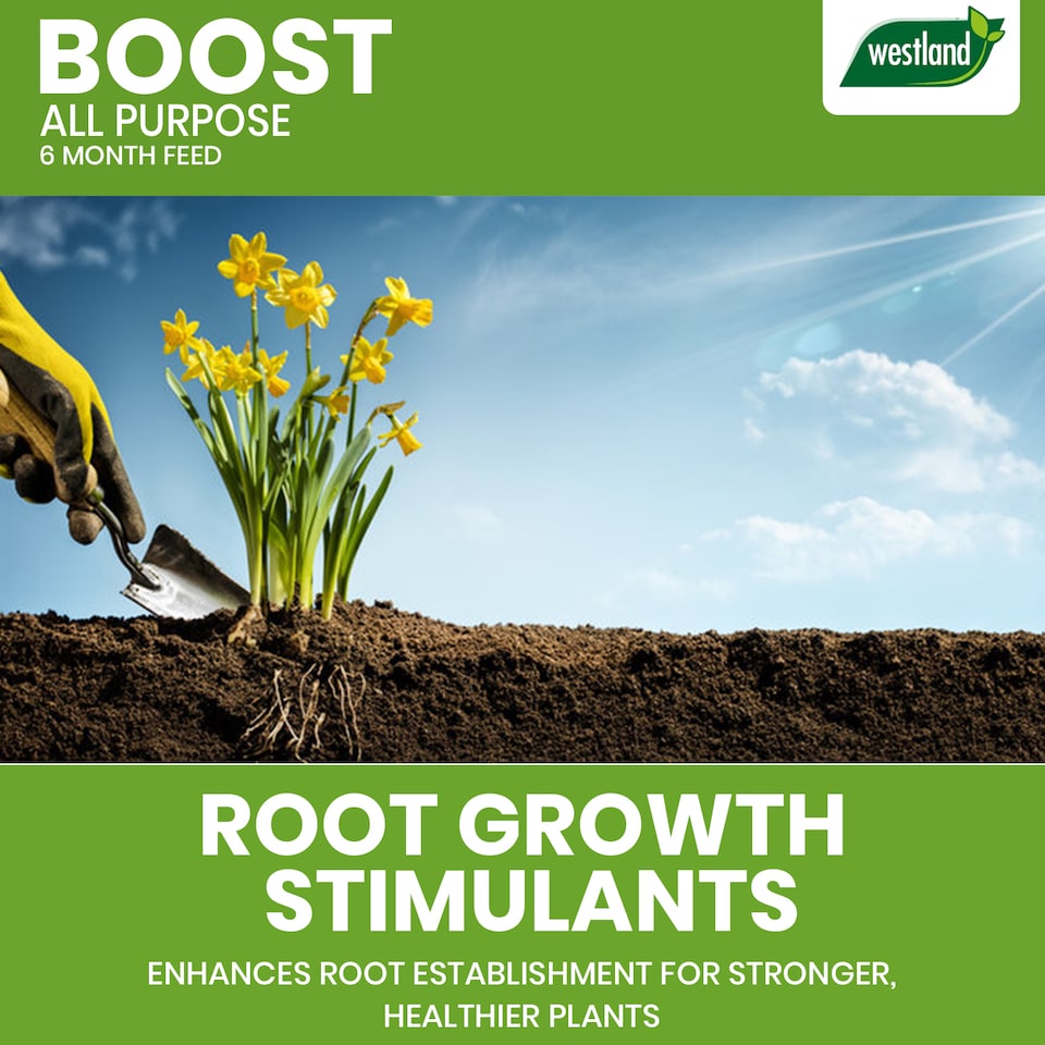 image 1 of Westland Boost All Purpose Plant Food 750g Slow Release Granules 6 Month Feed for Flowers Fruits Vegetables Healthy Growth