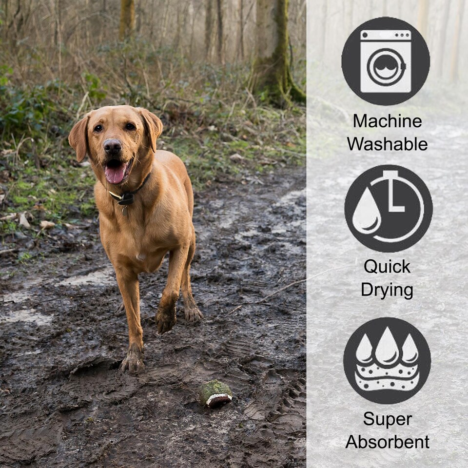 image 1 of Quick Drying Microfibre Pet Towel Mitt Dog Puppy Bath Shower Absorbent Material