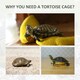 image 8 of PawHut 94 cm Wooden Tortoise House Turtle Habitat Small Reptile Cage Grey