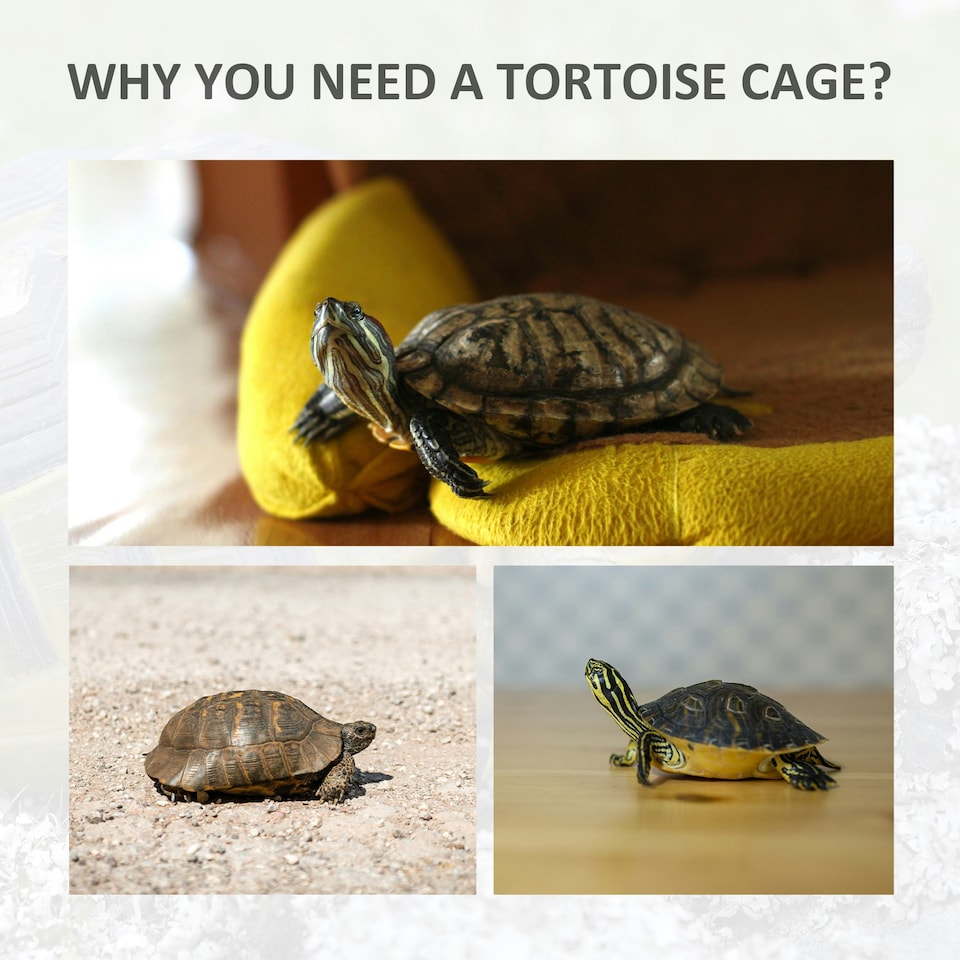 image 1 of PawHut 94 cm Wooden Tortoise House Turtle Habitat Small Reptile Cage Grey