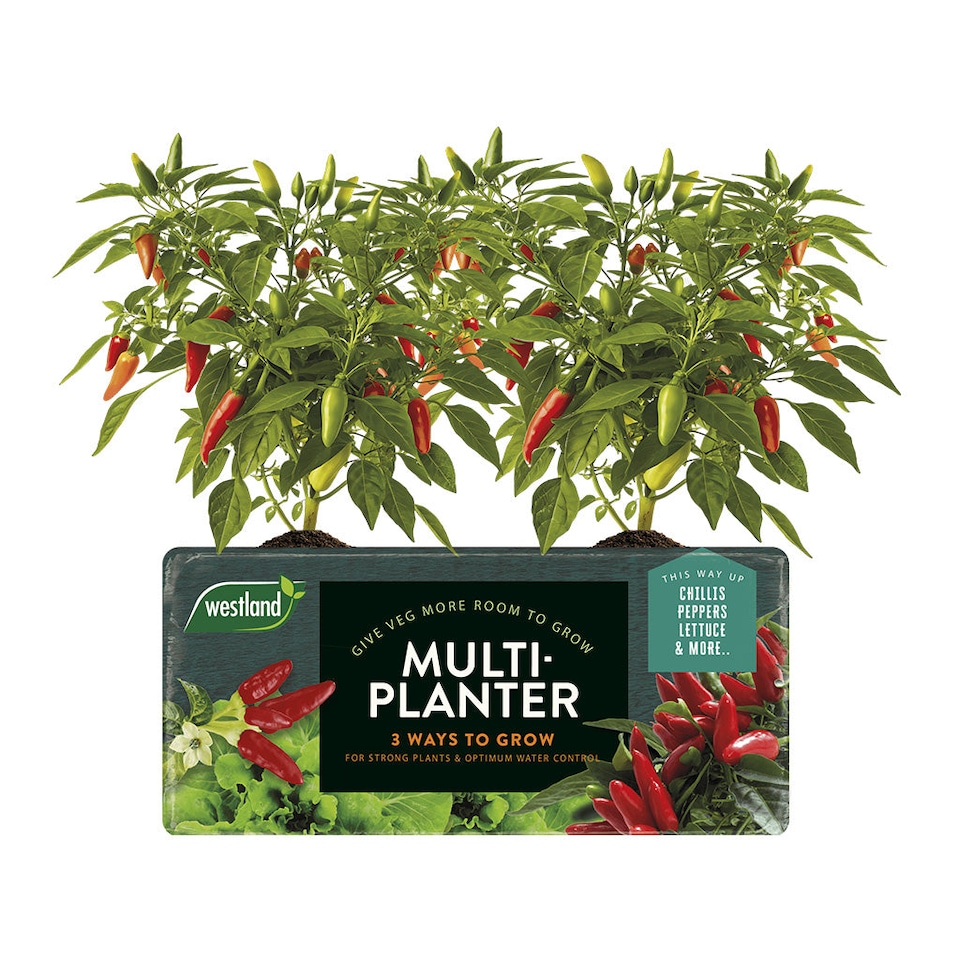 image 1 of Westland Peat Free Multi-Planter Medium 40 Litre