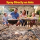 image 3 of NOPE CP Ant Killer Spray (5L & Sprayer) Effective Ant Control - Fast-Acting, Long-Lasting for Indoor & Outdoor use.