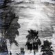 image 1 of Silver and Black Palm (Canvas Print) 36" x 24"