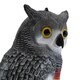 image 5 of Twin Pack Pond Decoy Realistic Owl And Heron Pest Deterrent Scarer Koi Carp Fish
