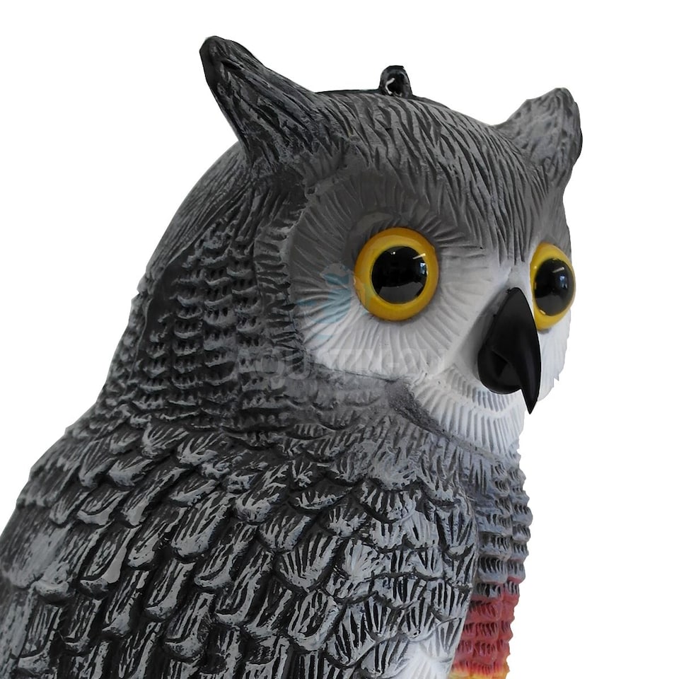 image 1 of Twin Pack Pond Decoy Realistic Owl And Heron Pest Deterrent Scarer Koi Carp Fish