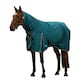 image 1 of Weatherbeeta Comfitec Classic Combo Neck 360g Horse Turnout Rug | Green | Forest Green/Black | 5Ft | 1
