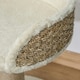 image 6 of PawHut Cat Scratching Post Activity Centre for Kitten Under 4kg Beige