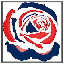 Red & blue rose print (Picutre Frame) Grey | M