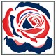 image 1 of Red & blue rose print (Picutre Frame) Grey | M