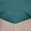 Teal - Selected