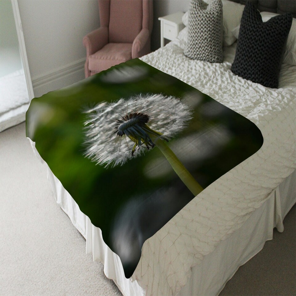 image 1 of Seedhead of a Dandelion in spring, on a field close up flower head, fluffy flower (Blanket)