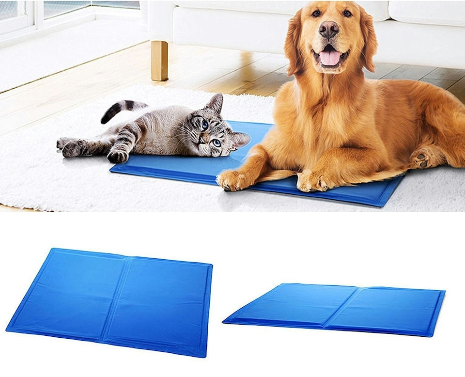 image 1 of Pet Dog Cat Cooling Gel Mat Bed Summer Heat Relief Non Toxic Cushion Pad 45x60cm | Blue | One Size