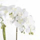 image 2 of Large Orchid in Stone Pot Artificial Flower - Plastic - L50 x W50 x H90 cm - White