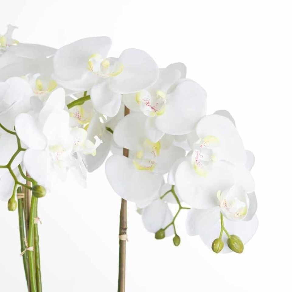 image 1 of Large Orchid in Stone Pot Artificial Flower - Plastic - L50 x W50 x H90 cm - White